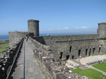 SX29118 Pepijn at Harlech Castle.jpg